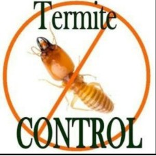 Termite Control